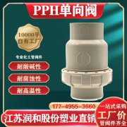 江苏润和PPH止回阀防止介质倒流